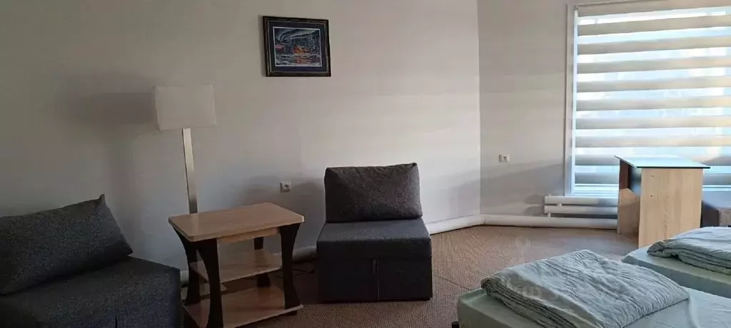 Комната Челябинская область, Нязепетровск Пионерская ул., 1А - Фото 2