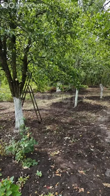 Участок в Ростов-на-Дону, Объездная улица (4.81 м) - Фото 2