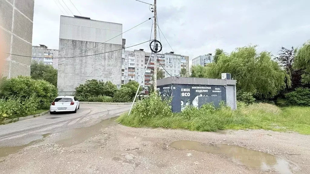 Торговая площадь в Калининградская область, Калининград ул. Генерала ... - Фото 0
