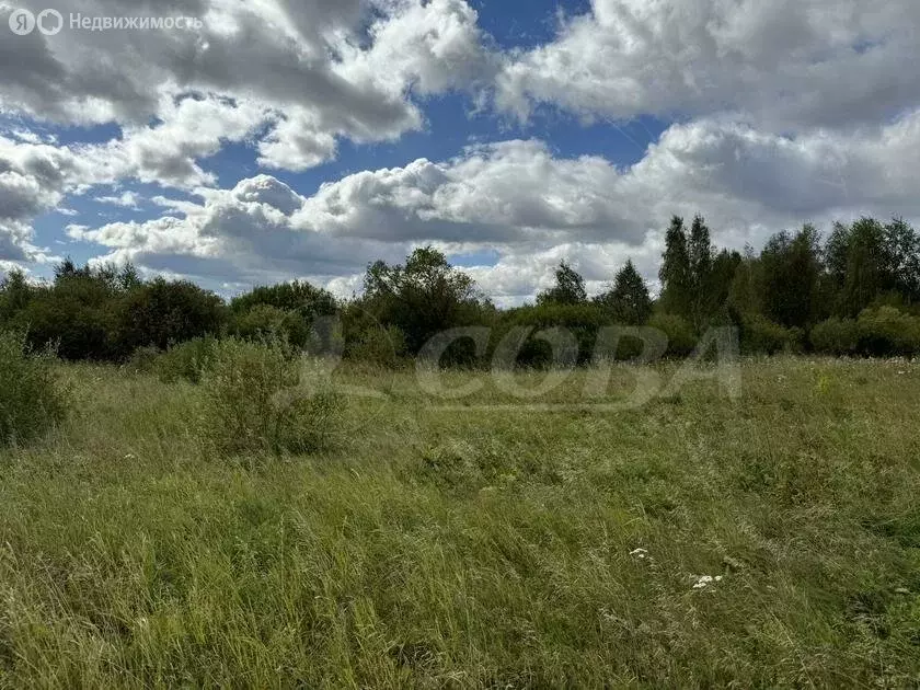 участок в тюменский район, деревня елань (7.4 м) - Фото 0