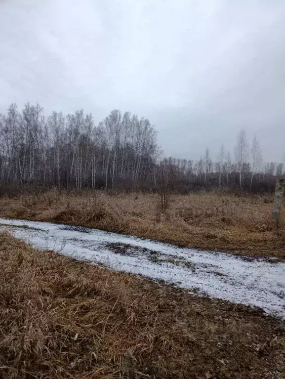 Участок в Челябинская область, Копейск Березка-4 СНТ, 518 (5.89 сот.) - Фото 2