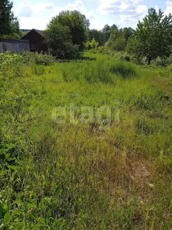 Участок в Белгородская область, Корочанский муниципальный округ, с. ... - Фото 2