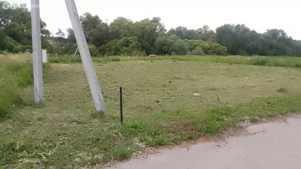 Участок в сельское поселение Малаховское, деревня Нижнее Романово (13 ... - Фото 0