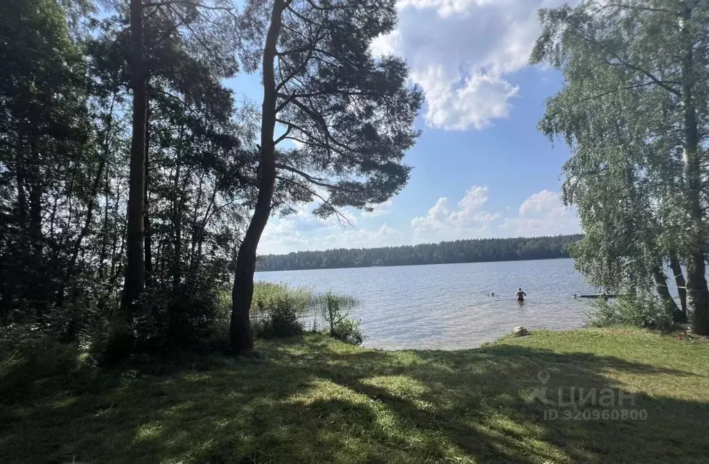 Участок в Ленинградская область, Приозерский район, Громовское с/пос, ... - Фото 1