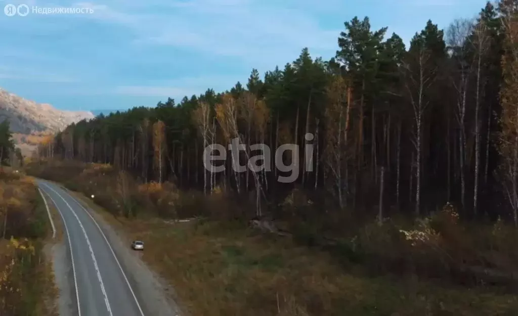 Участок в Алтайский район, село Нижнекаянча (833 м) - Фото 2