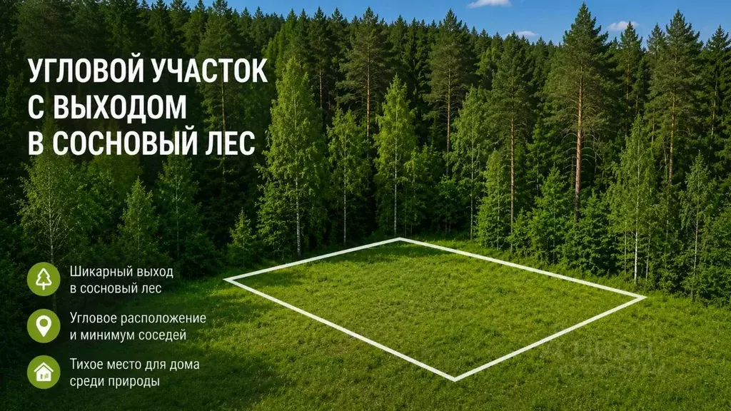 Участок в Ленинградская область, Выборгский район, Приморское ... - Фото 1