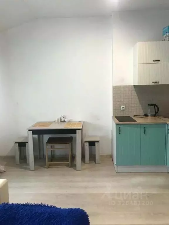 Студия Краснодарский край, Краснодар Гаражный пер. (27.6 м) - Фото 2