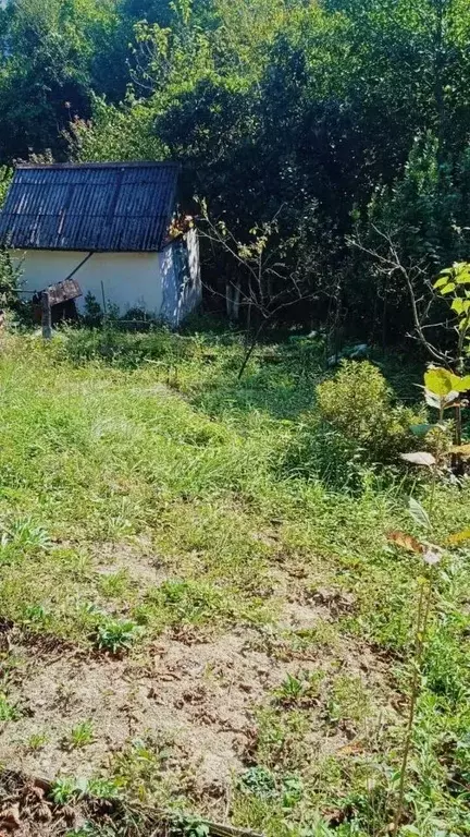 Участок в Краснодарский край, Сочи городской округ, с. Лесное, ... - Фото 1