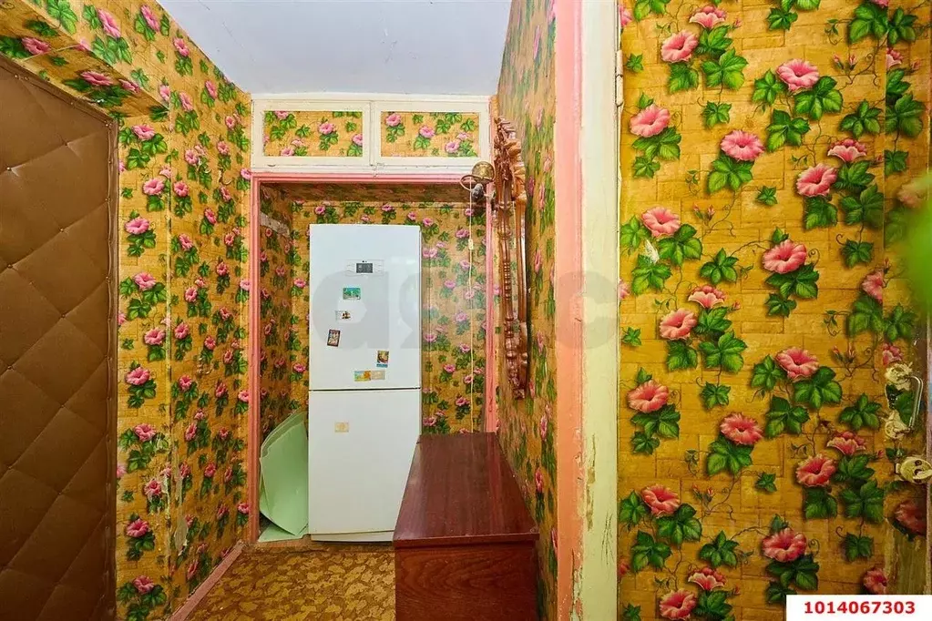 1-к кв. Краснодарский край, Краснодар ул. Димитрова (32.5 м) - Фото 1