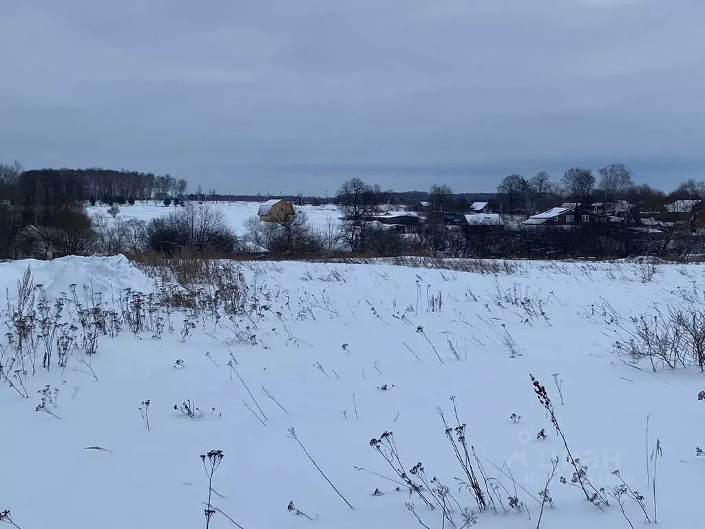 Участок в Московская область, Кашира городской округ, д. Яковское  ... - Фото 0