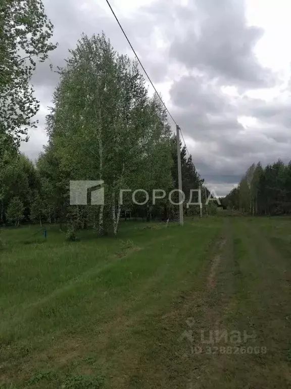 Участок в Алтайский край, Барнаул ул. Есенина, 17 (9.0 сот.) - Фото 1