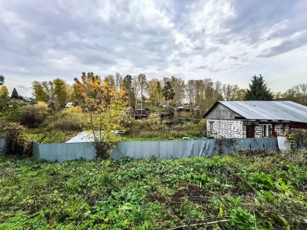 Участок в Новосибирская область, Новосибирский район, Раздольненский ... - Фото 1
