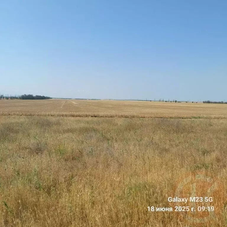 Участок в Крым, Черноморский район, с. Новоивановка  (6.24 сот.) - Фото 2