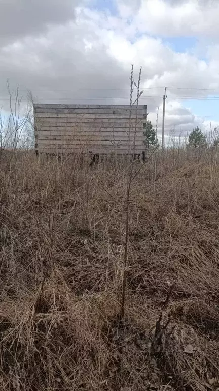 Участок в Новосибирская область, Колыванский район, Заря СНТ ул. ... - Фото 0