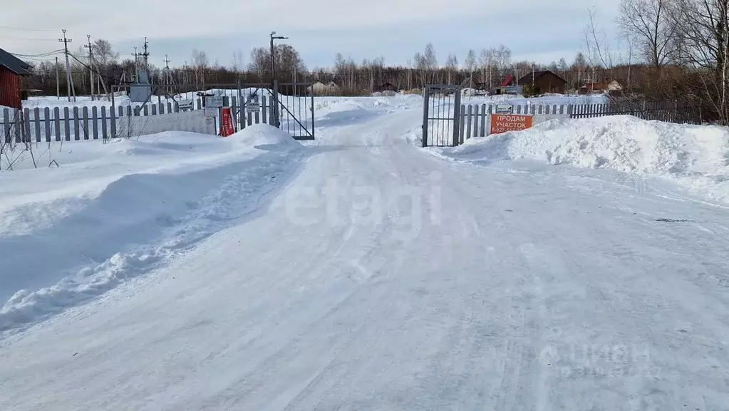 Участок в Новосибирская область, Коченевский район, Тальник СНТ ул. ... - Фото 2