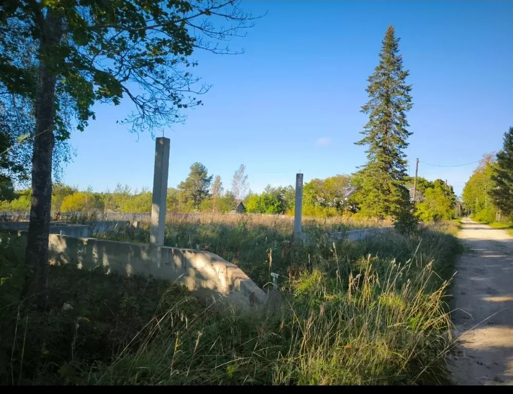 Участок в Ленинградская область, Лужский район, Толмачевское городское ... - Фото 0
