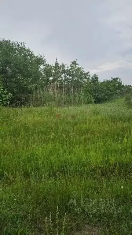 Участок в Ростовская область, Азовский район, Елизаветинское с/пос, ... - Фото 2