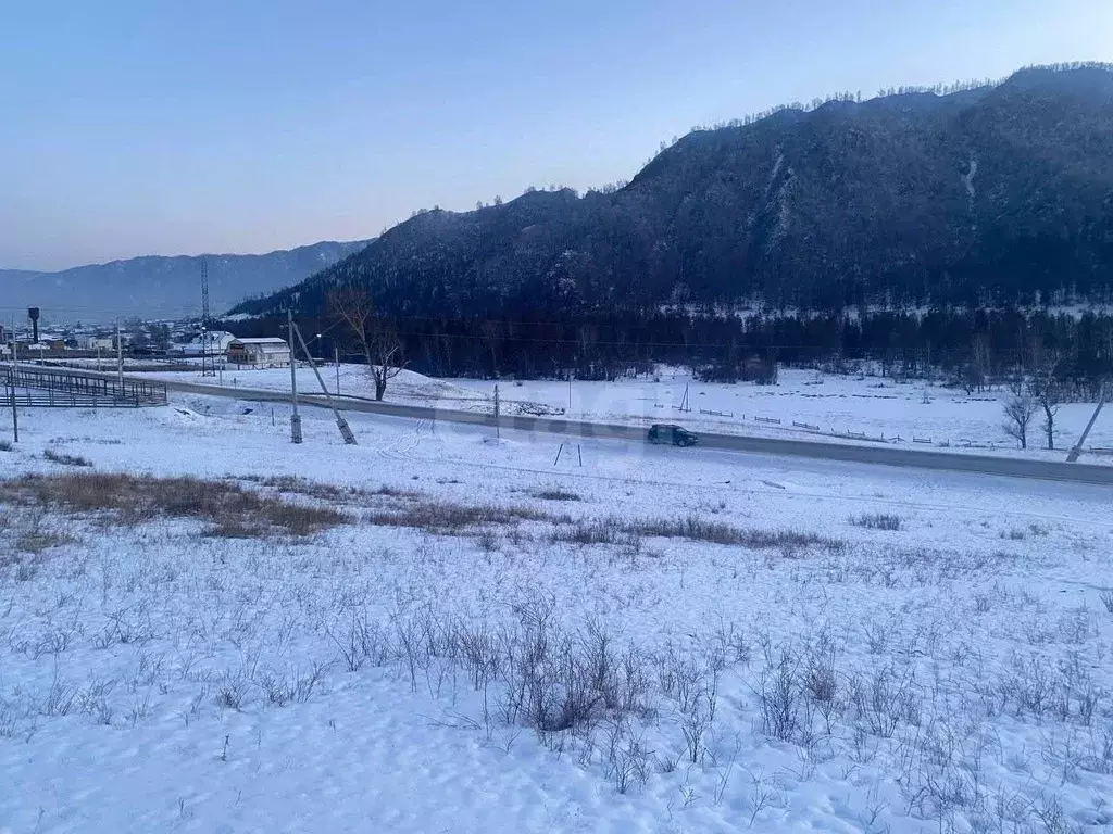 Участок в Алтай, Онгудайский район, с. Шашикман  (12.5 сот.) - Фото 1