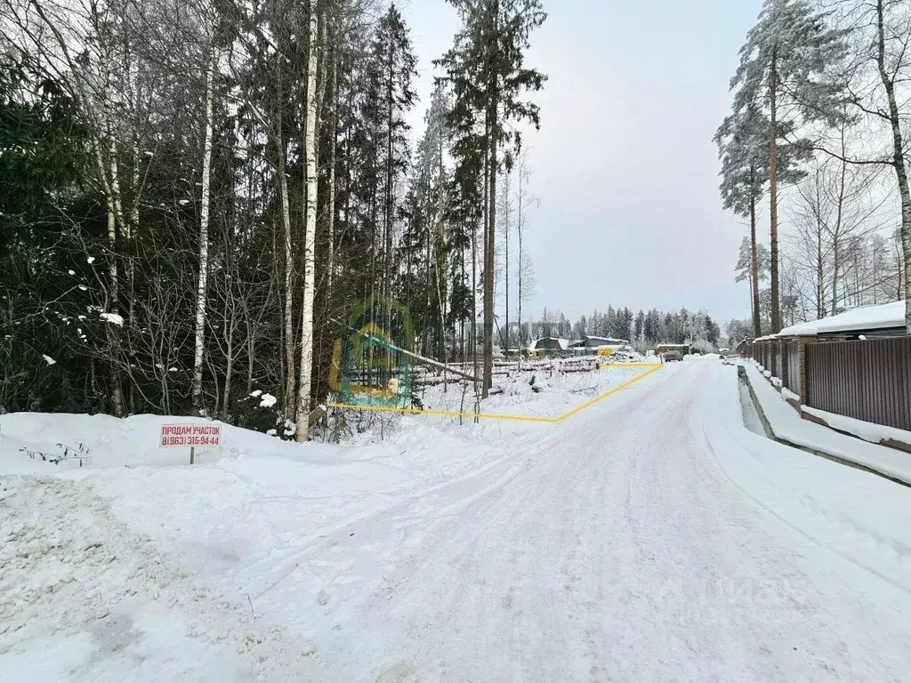 Участок в Ленинградская область, Сертолово Всеволожский район, Медное ... - Фото 2