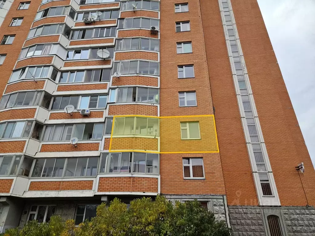 1-к кв. Московская область, Солнечногорск городской округ, Голубое пгт ... - Фото 2