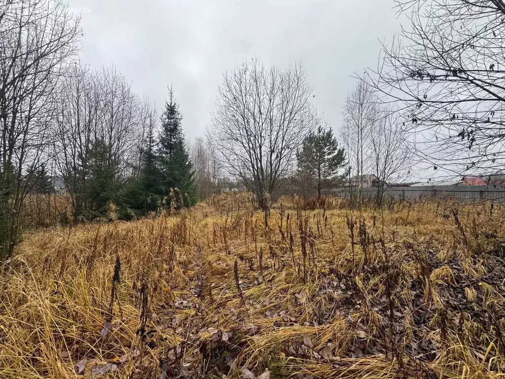 Участок в Владимирская область, Александровский муниципальный округ, ... - Фото 2