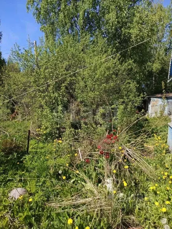 Дом в Ярославская область, Рыбинск Виктория СНТ, 65 (16 м) - Фото 2