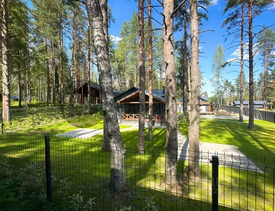 Участок в Ленинградская область, Всеволожский район, Куйвозовское ... - Фото 1