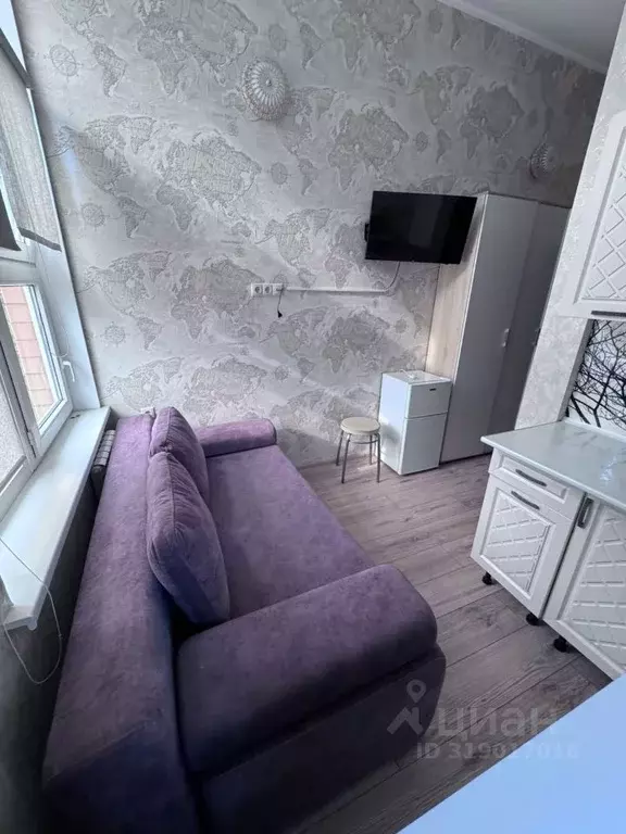 Студия Краснодарский край, Сочи Виноградная ул., 89/2 (12.1 м) - Фото 1