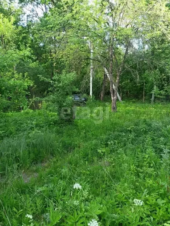 Участок в Ульяновск, СНТ Лесовод (5 м) - Фото 1