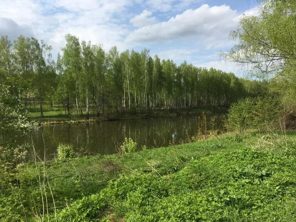 Участок в Калужская область, Село Бабынино с/пос, д. Альшаны  (17.0 ... - Фото 2