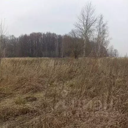 Участок в Московская область, Луховицы муниципальный округ, д. ... - Фото 1