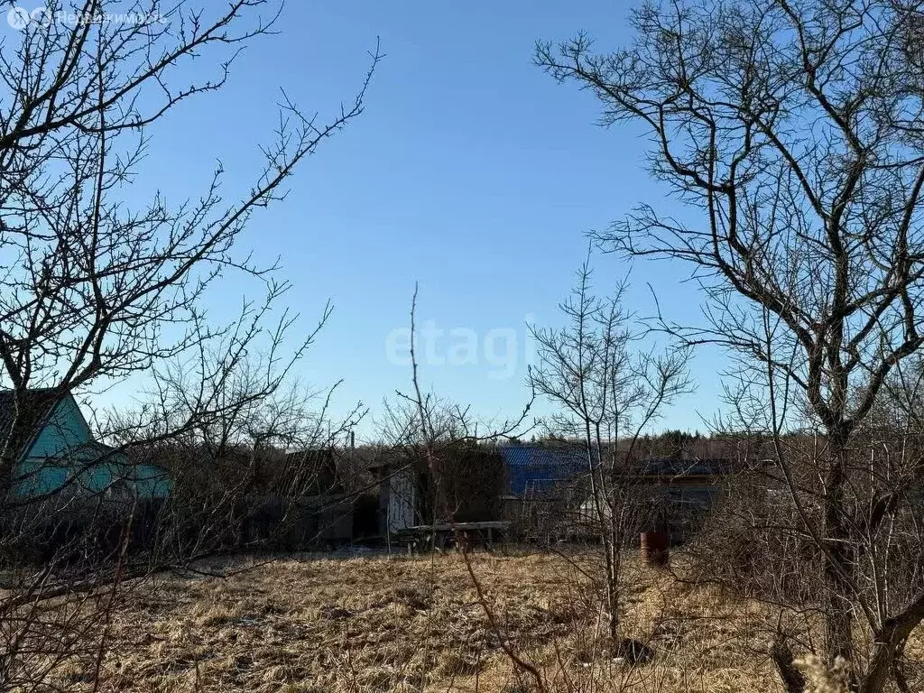 Участок в Московская область, городской округ Домодедово, ДНП Ветеран ... - Фото 1