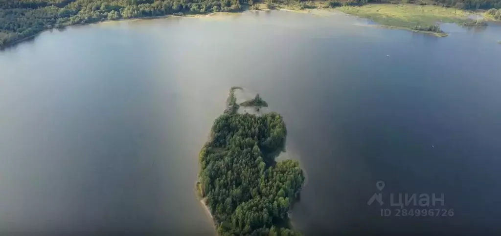 Участок в Тверская область, Осташковский городской округ, д. Кожурица  ... - Фото 1