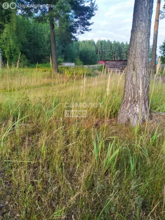 Участок в Озёрный, Набережная улица, 12 (7 м) - Фото 1