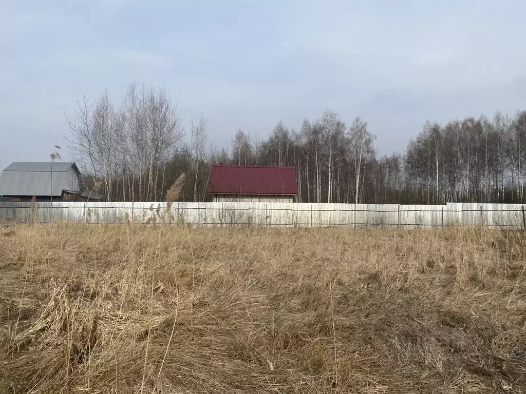 Участок в Нижегородская область, Выкса городской округ, с. Борковка ... - Фото 2