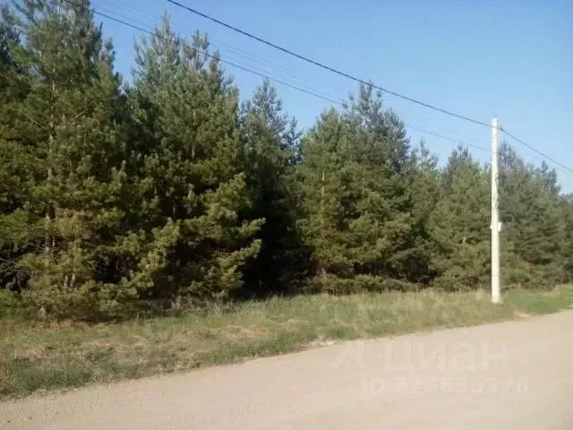 Участок в Воронежская область, Рамонский район, Новоживотинновское ... - Фото 1