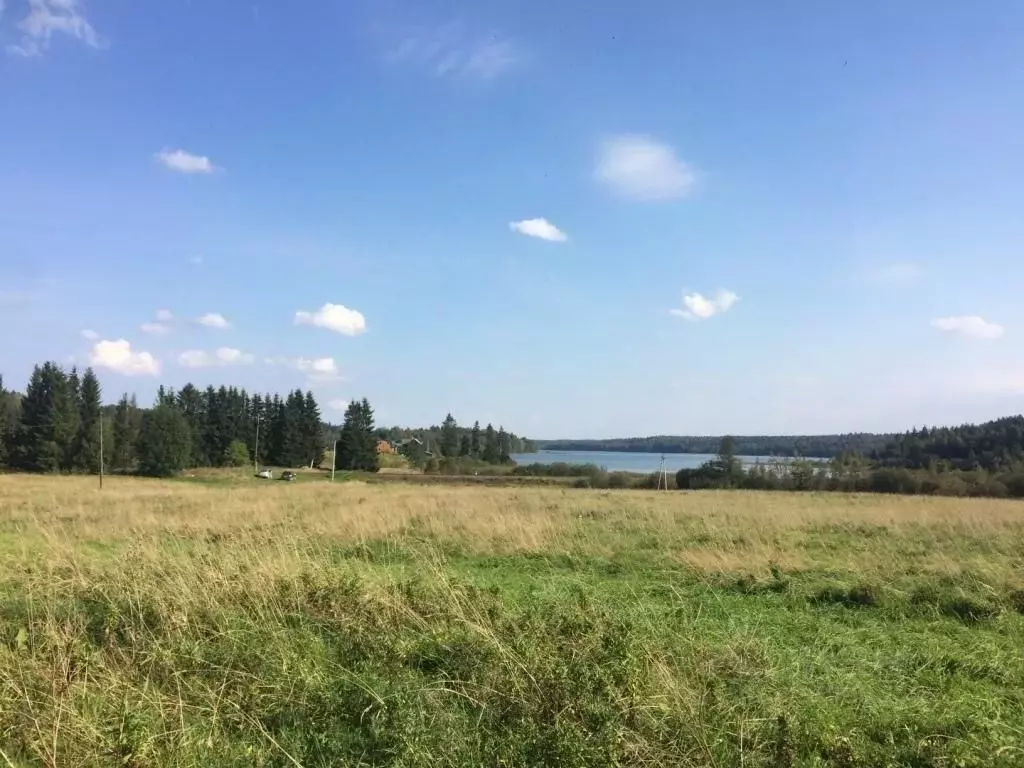 Участок в Карелия, Лахденпохский муниципальный округ, пос. Куянсуо ул. ... - Фото 1