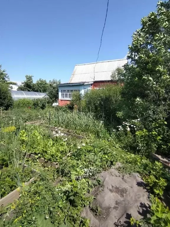 Дом в Омская область, Омск Бодрость-1 СНО, аллея 2-я (18 м) - Фото 1