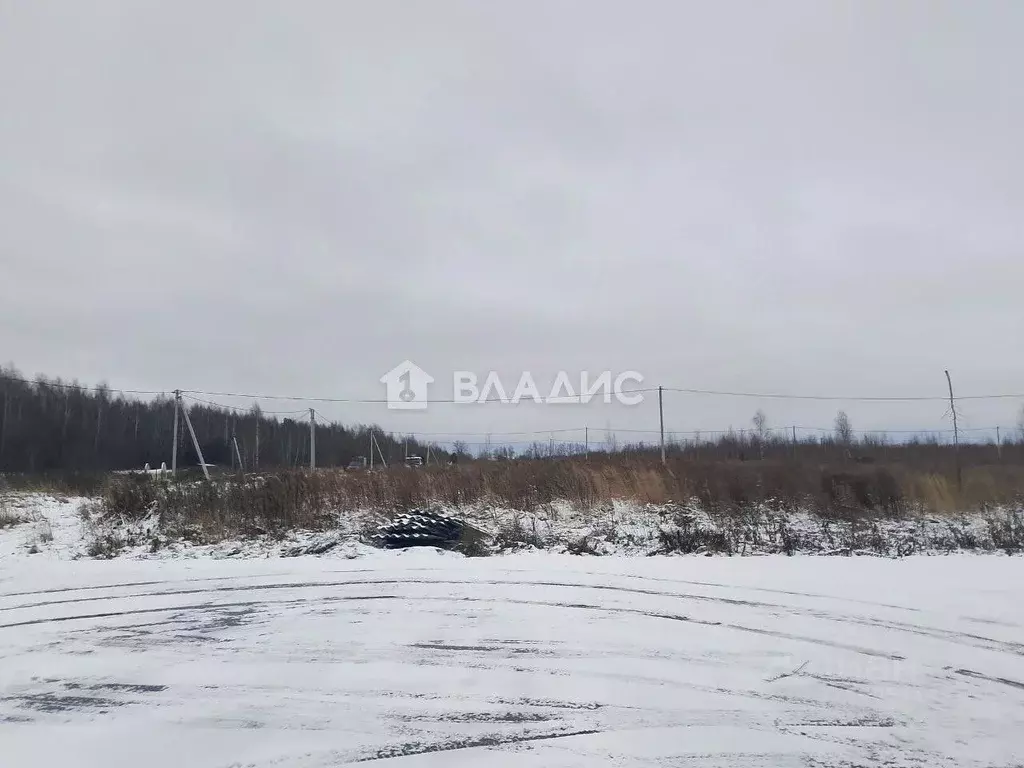 Участок в Нижегородская область, с. Безводное  (10.0 сот.) - Фото 2
