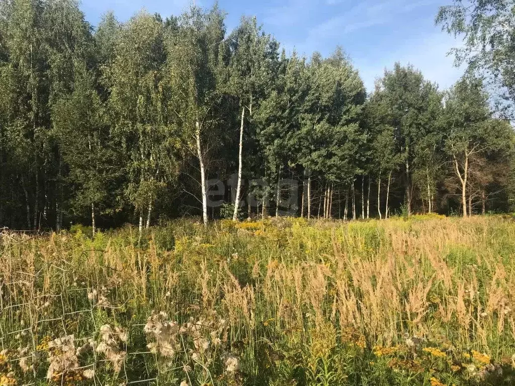 Участок в Московская область, Мытищи городской округ, д. Чиверево ул. ... - Фото 1