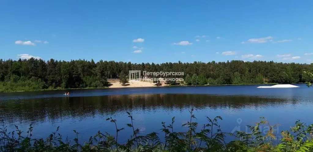 1-к кв. Ленинградская область, Выборгский район, Рощино пгт ул. ... - Фото 2