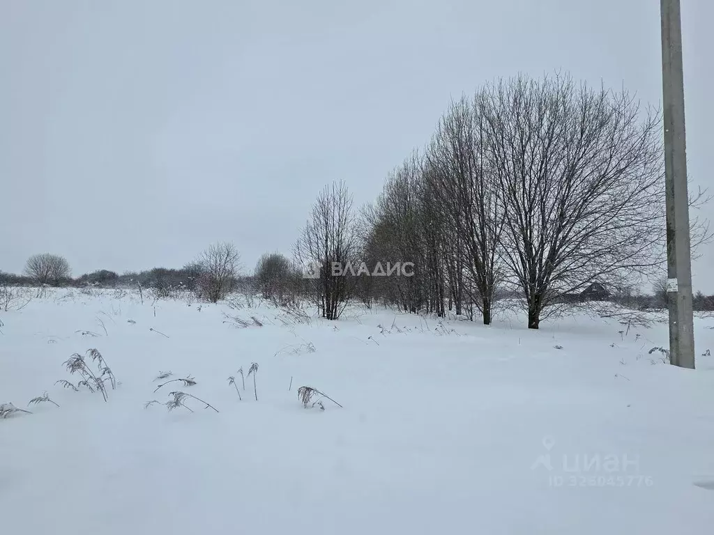 Участок в Владимирская область, Суздальский район, Боголюбовское ... - Фото 2