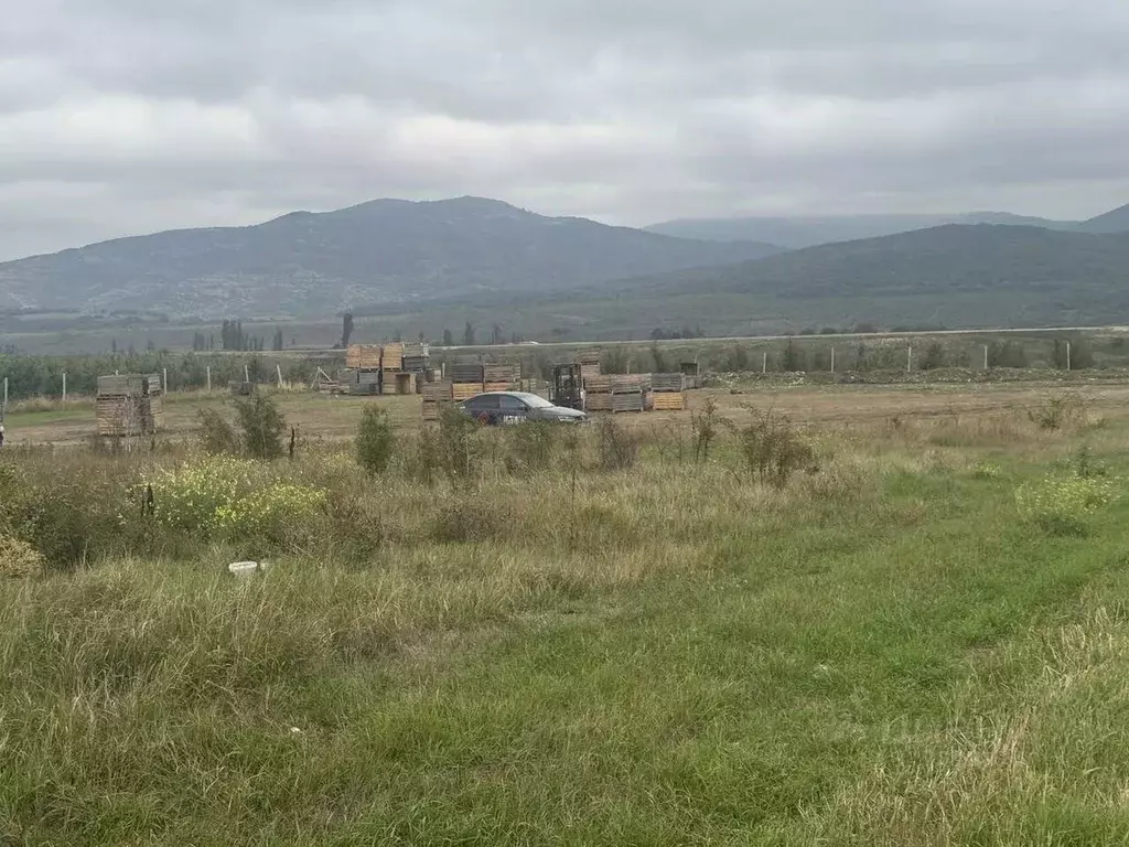 Участок в Крым, Белогорский район, с. Курское ул. Ленина (500.0 сот.) - Фото 1