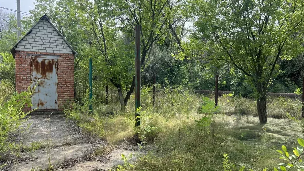 Участок в Саратовская область, Энгельсский район, Красноярское ... - Фото 1