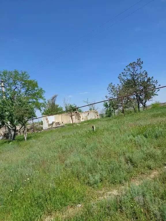 Участок в Ставропольский край, Буденновский муниципальный округ, пос. ... - Фото 2