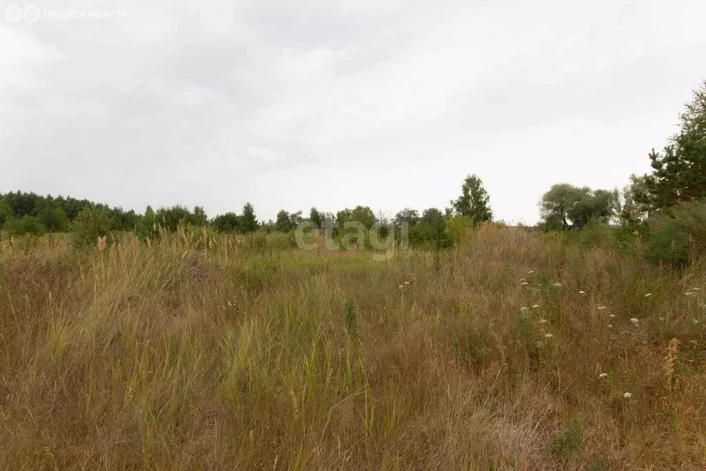 Участок в село Елецкое, Рябиновая улица (15 м) - Фото 0