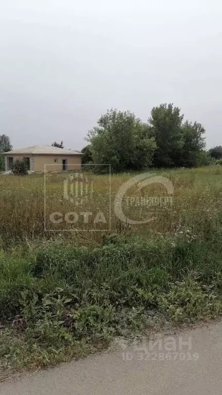 Участок в Воронежская область, Новоусманский район, Хреновское с/пос, ... - Фото 0