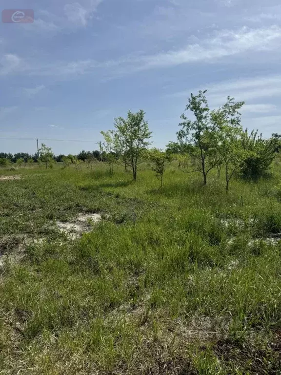 Участок в Воронежская область, с. Новая Усмань ул. Менделеева, 121 ... - Фото 0