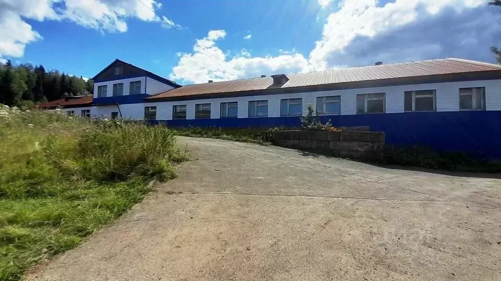 Помещение свободного назначения в Пермский край, Лысьвенский ... - Фото 2