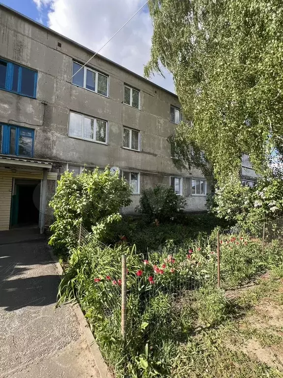 3-к. квартира, 58 м, 1/3 эт. - Фото 1